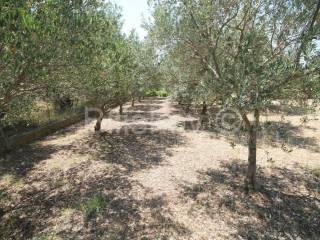 Samostojeća kuća, Prodaja, Trogir - Okolica, Plano