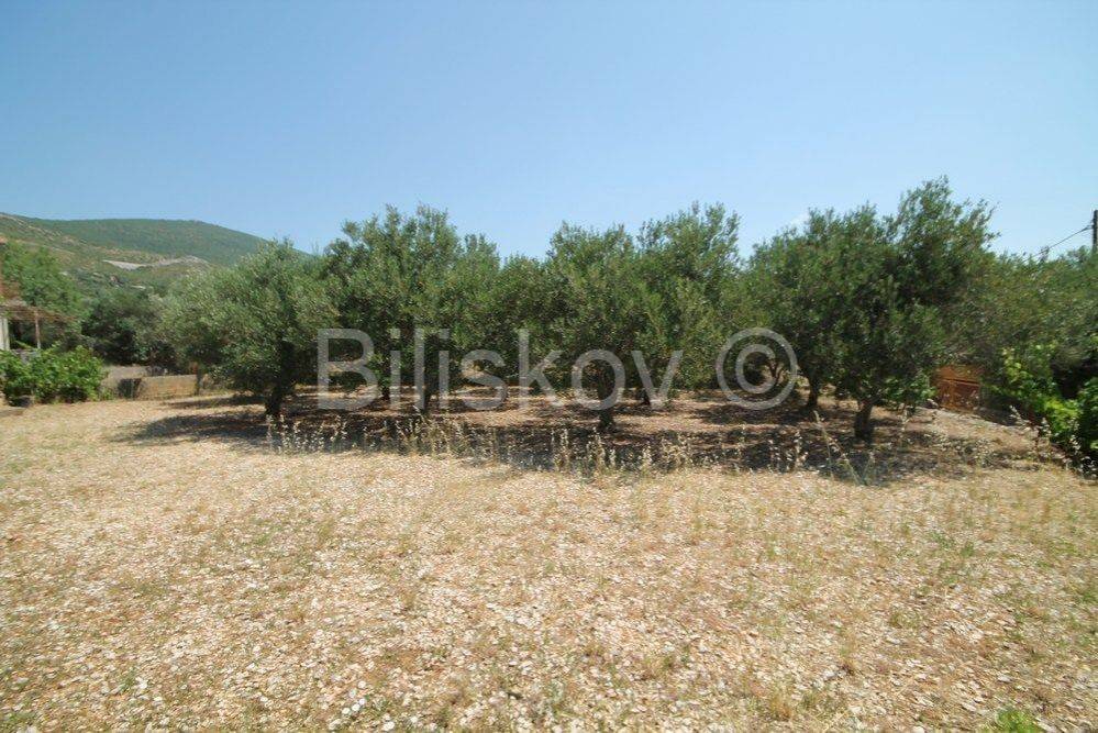 Samostojeća kuća, Prodaja, Trogir - Okolica, Plano