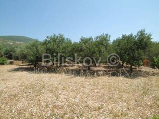 Samostojeća kuća, Prodaja, Trogir - Okolica, Plano