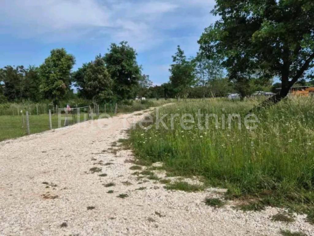 Poljoprivredno zemljište, Prodaja, Ližnjan, Šišan