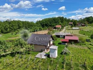 Obiteljska kuća, Prodaja, Barilovići, Svojić