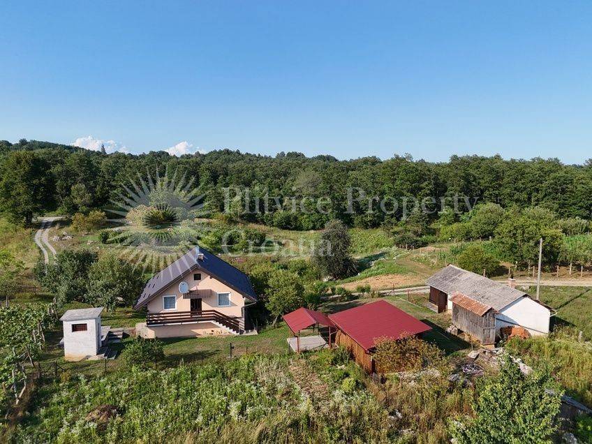 Obiteljska kuća, Prodaja, Barilovići, Svojić