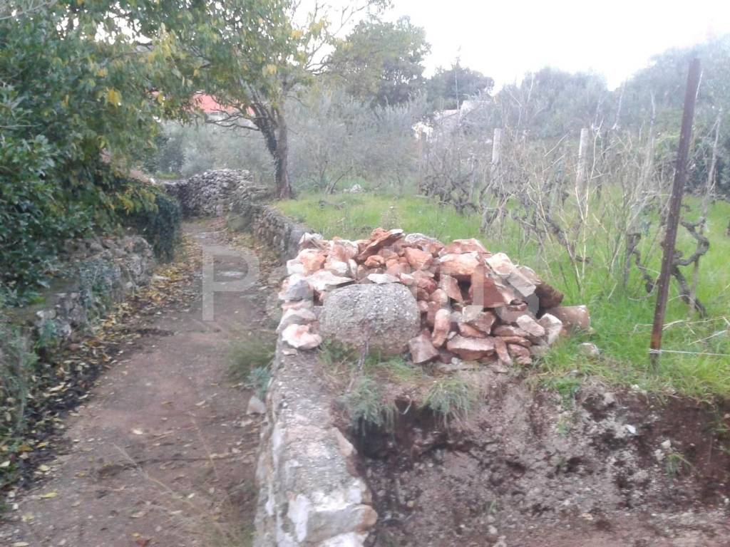 Sali, Dragove