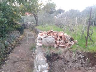 Sali, Dragove