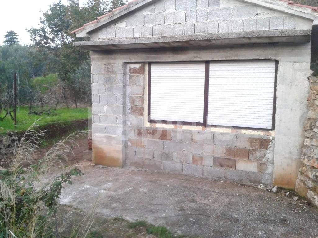 Sali, Dragove
