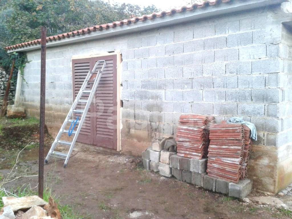 Sali, Dragove