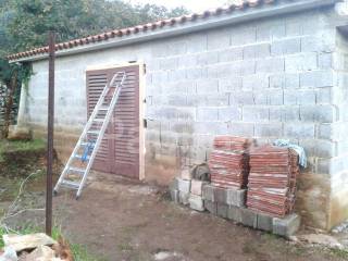 Sali, Dragove