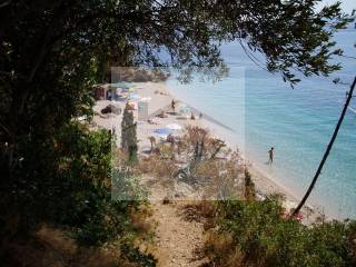 Bol, Murvica