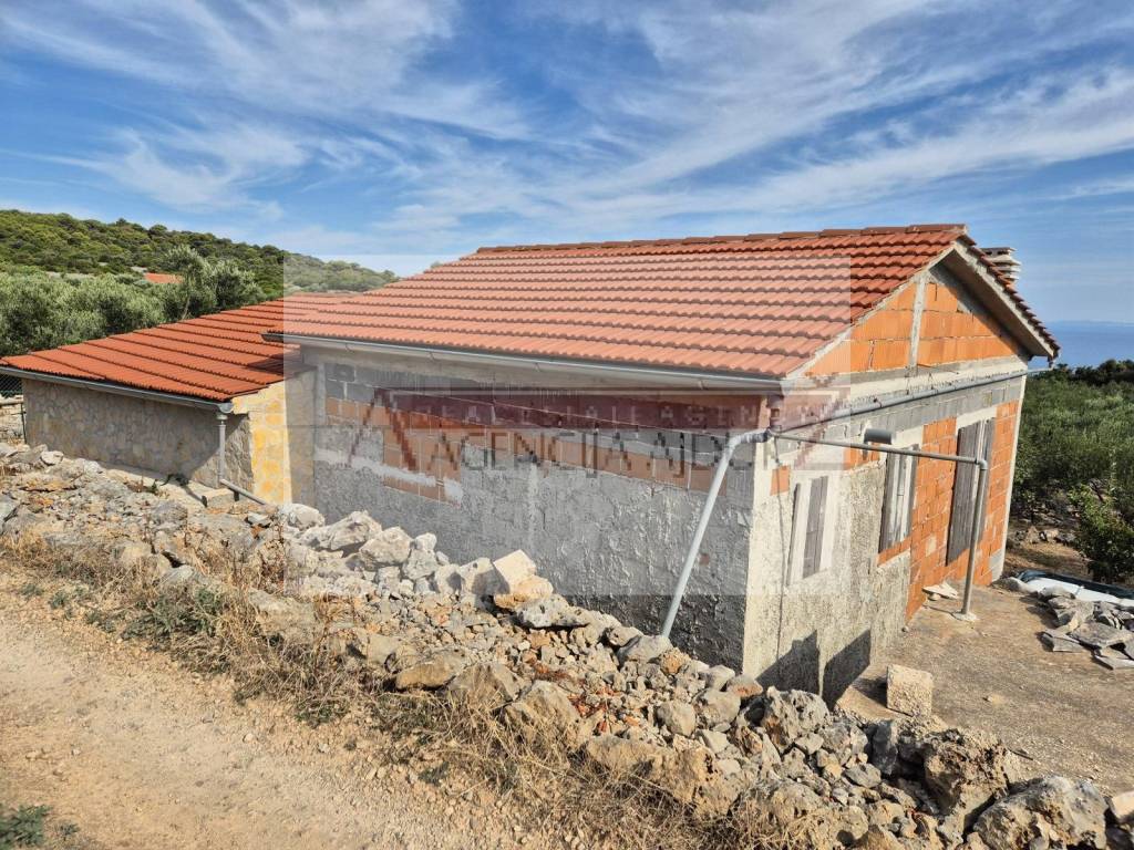 Vis, Rogacic