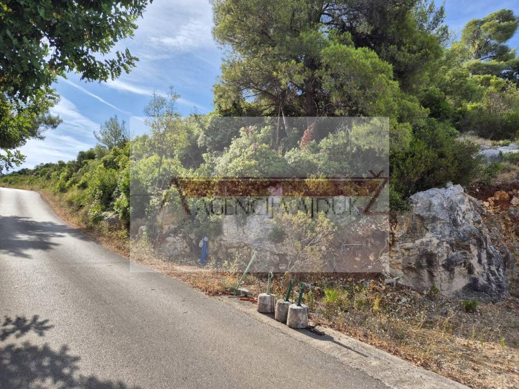Vis, Rogacic