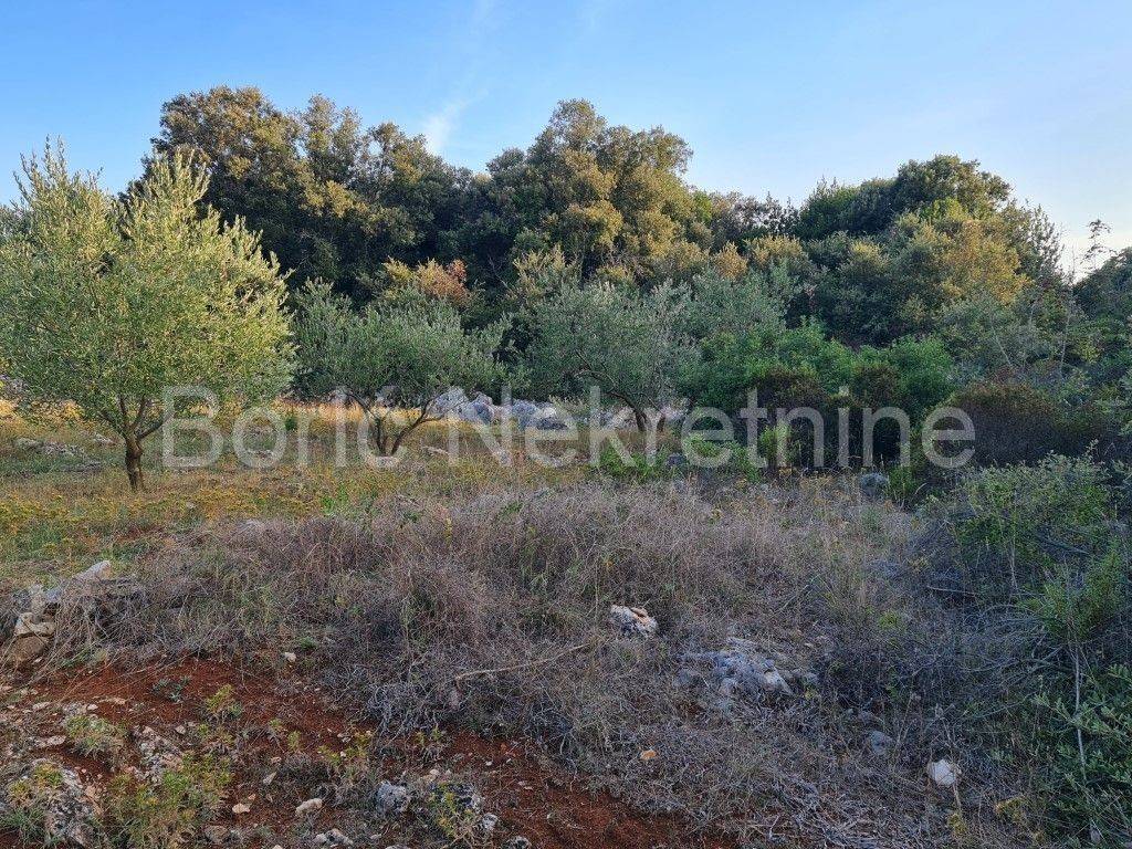 Poljoprivredno zemljište, Prodaja, Preko, Ugljan