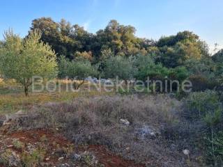 Poljoprivredno zemljište, Prodaja, Preko, Ugljan