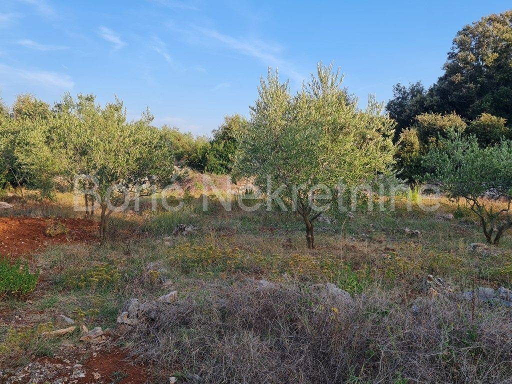 Poljoprivredno zemljište, Prodaja, Preko, Ugljan