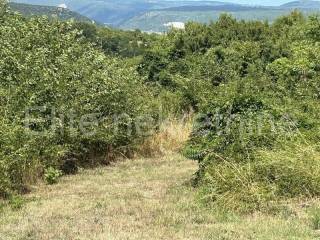 Poljoprivredno zemljište, Prodaja, Marčana, Rakalj