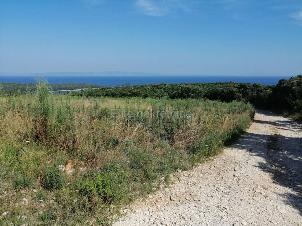 Poljoprivredno zemljište, Prodaja, Marčana, Pavićini