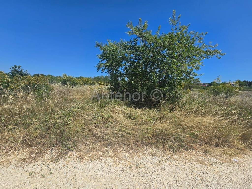 Građevinsko zemljište, Prodaja, Vrsi, Vrsi