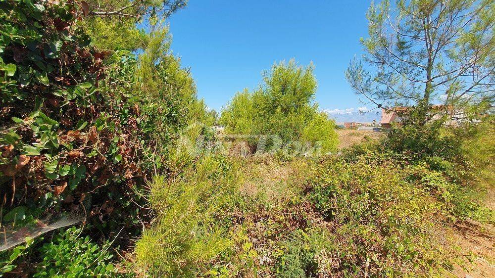 Poljoprivredno zemljište, Prodaja, Vir, Vir