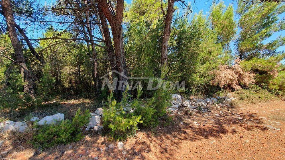 Poljoprivredno zemljište, Prodaja, Vir, Vir