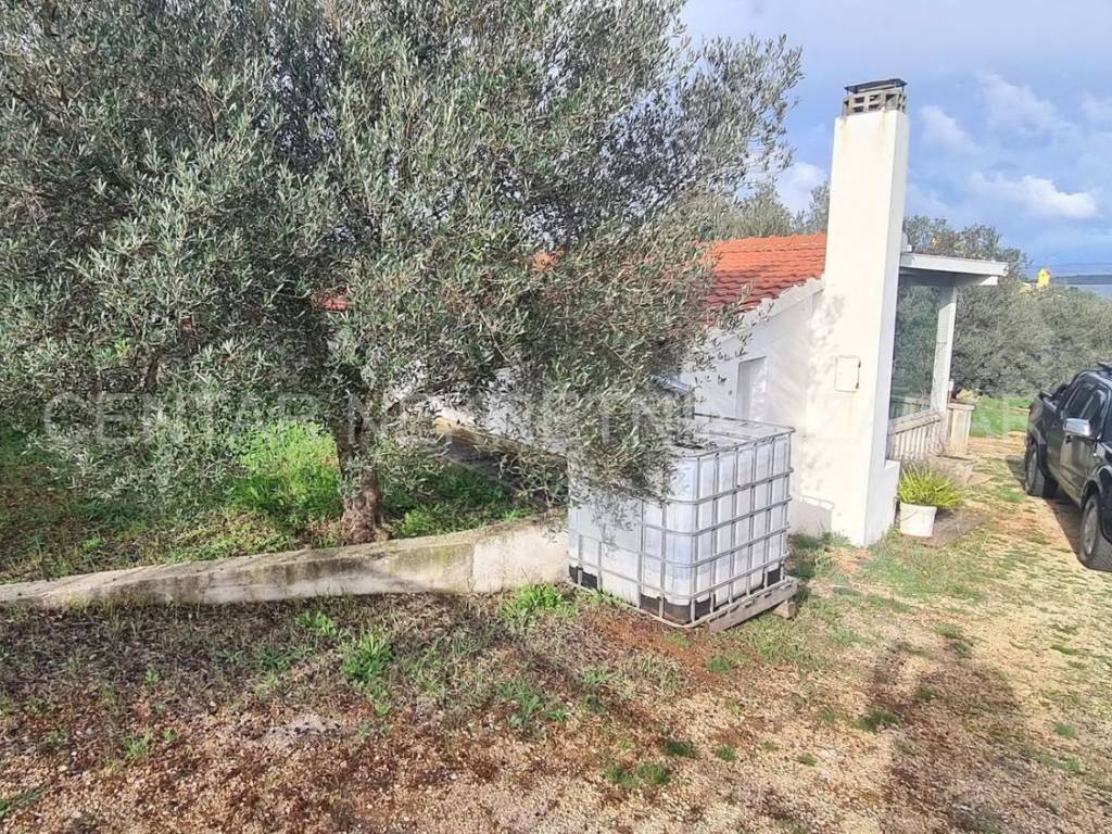 Kuca prizemnica, Prodaja, Sali, Sali
