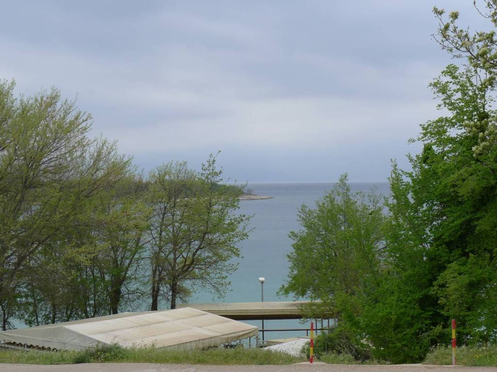 Njivice