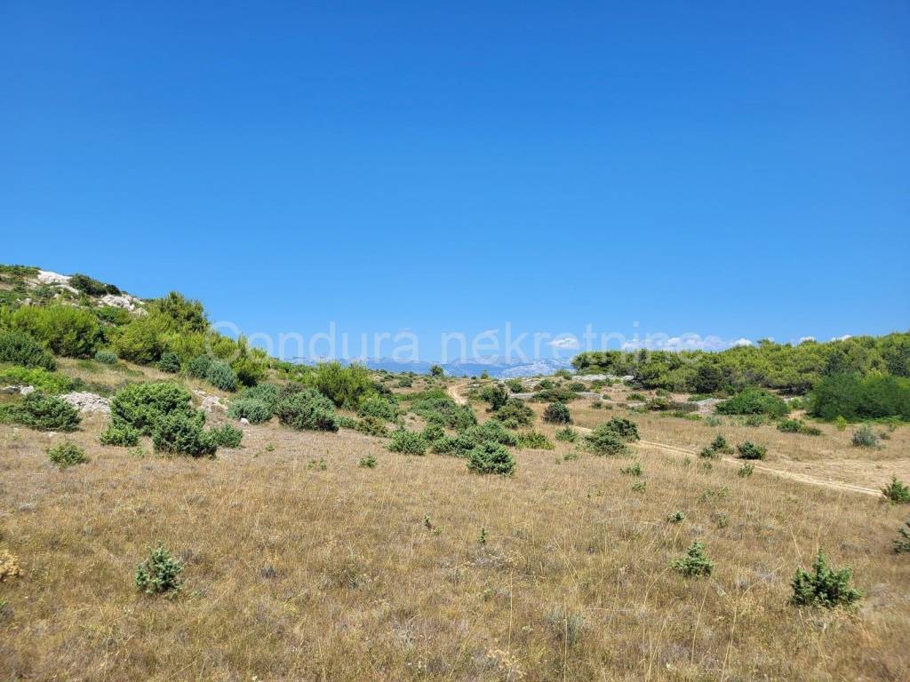 Poljoprivredno zemljište, Prodaja, Vrsi, Vrsi