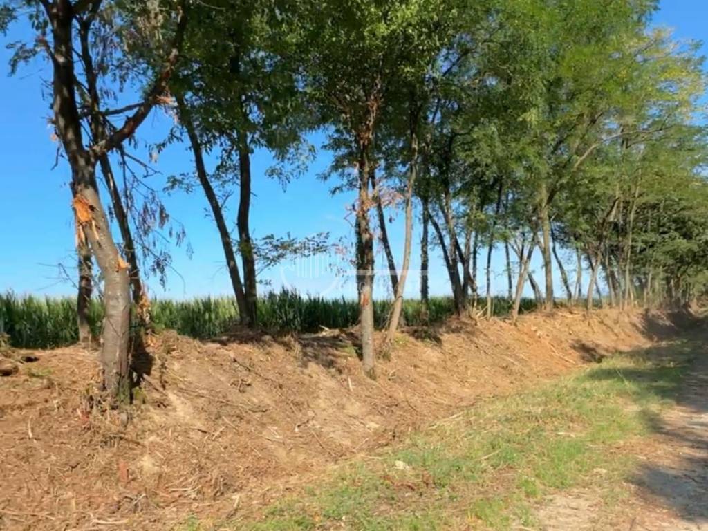 Poljoprivredno zemljište, Prodaja, Kloštar ivanić, Šćapovec