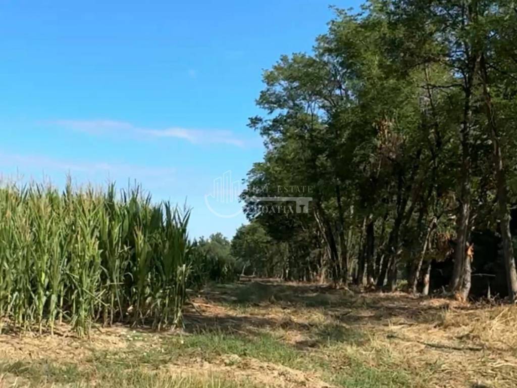 Poljoprivredno zemljište, Prodaja, Kloštar ivanić, Šćapovec