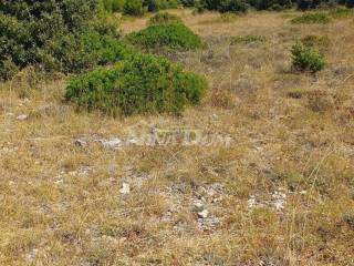 Poljoprivredno zemljište, Prodaja, Vir, Vir