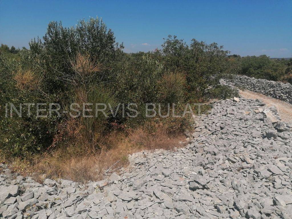 Poljoprivredno zemljište, Prodaja, Šibenik - Okolica, Jadrija