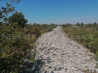 Poljoprivredno zemljište, Prodaja, Šibenik - Okolica, Jadrija