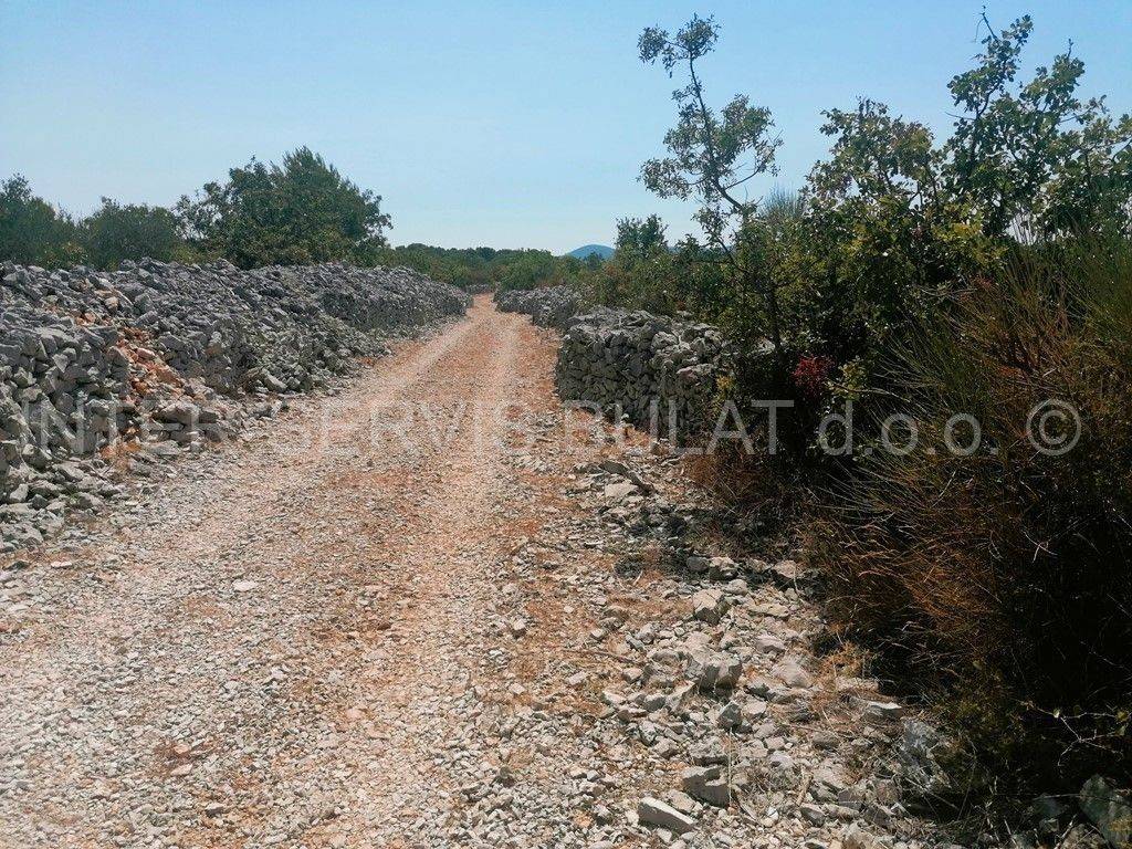 Poljoprivredno zemljište, Prodaja, Šibenik - Okolica, Jadrija