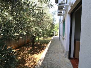 Dvojna kuća, Prodaja, Poreč, Poreč