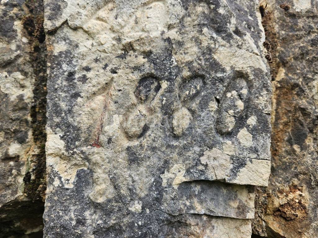 Građevinsko zemljište, Prodaja, Karojba, Karojba