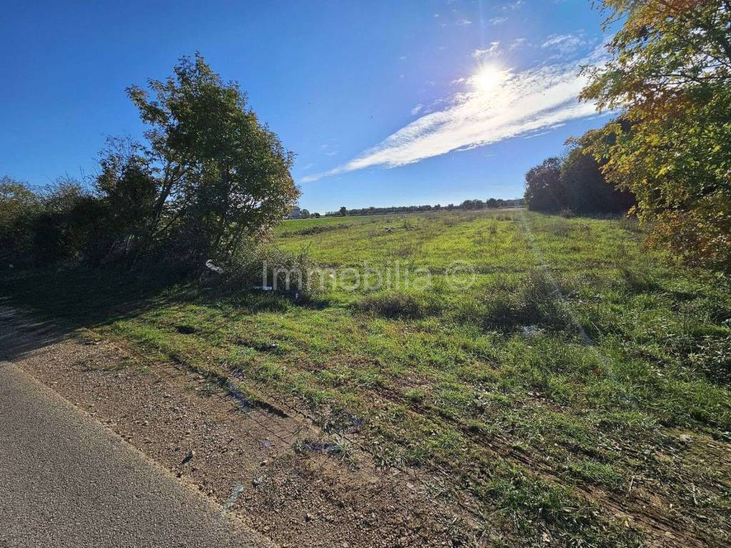 Poljoprivredno zemljište, Prodaja, Pula, Pula