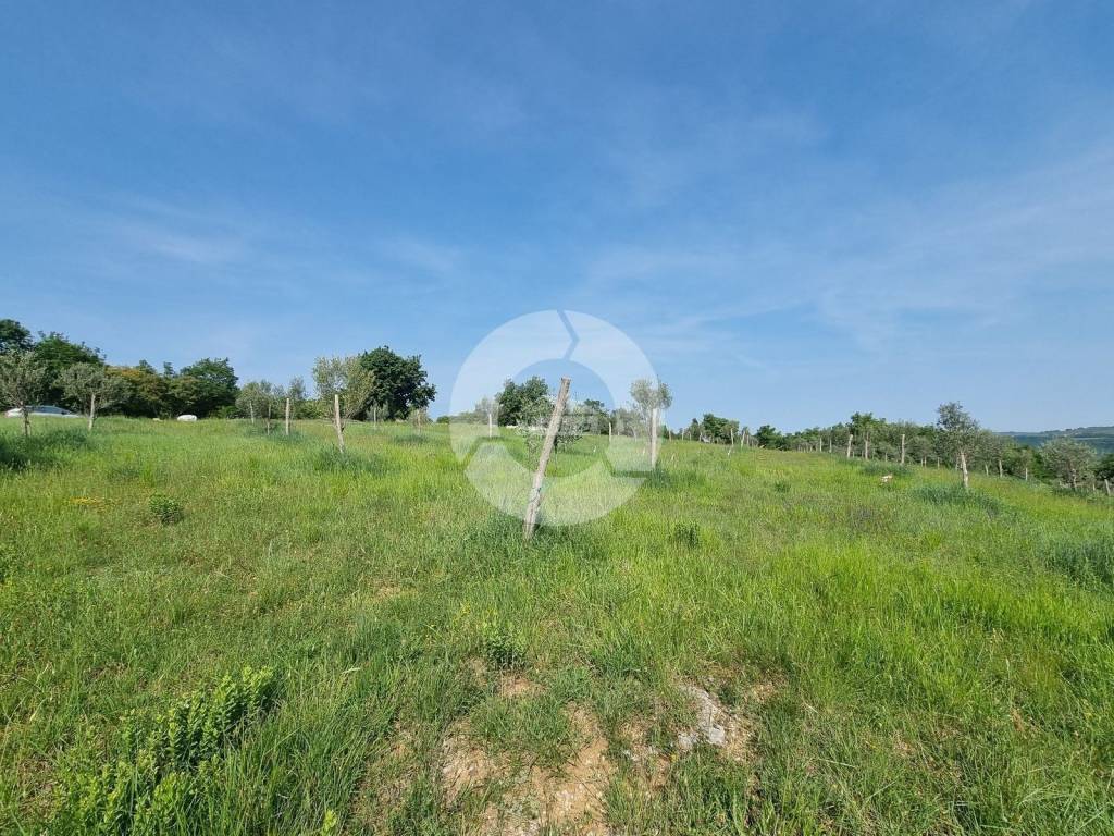 Građevinsko zemljište, Prodaja, Buje, Buje