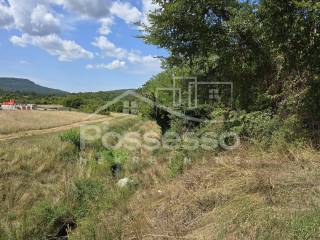 Buzet, Buzet