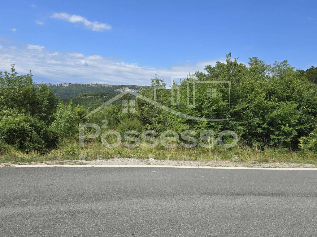 Buzet, Buzet