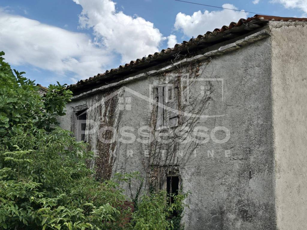 Buzet, Rocko Polje