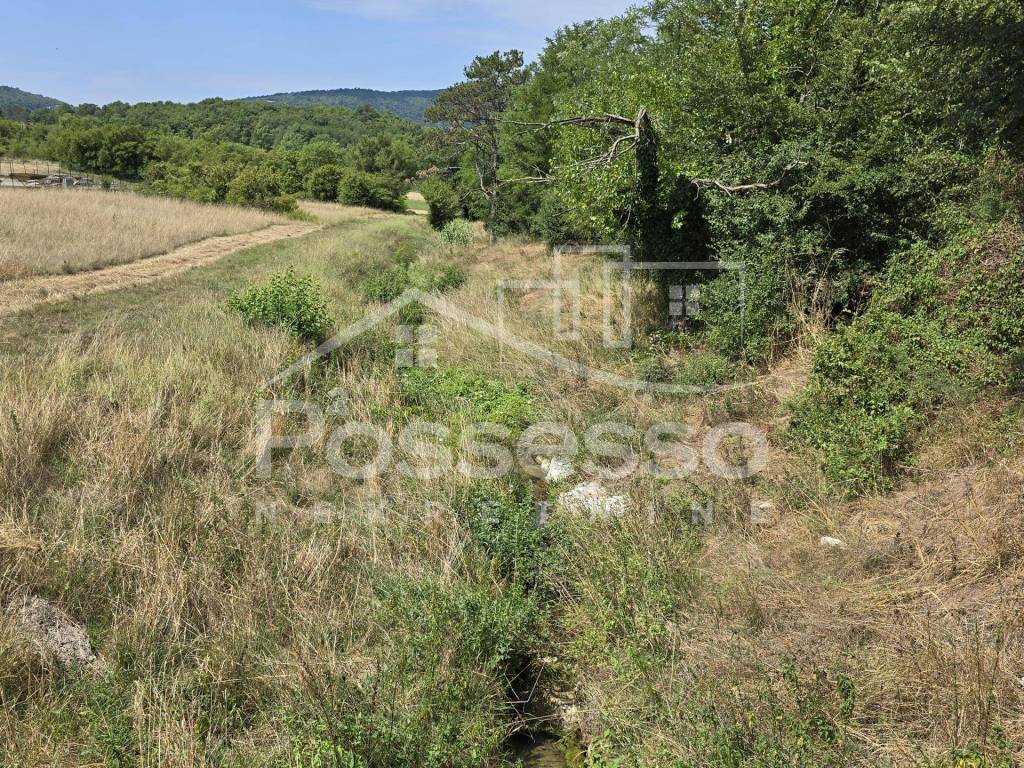 Buzet, Buzet