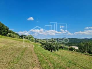 Buzet, Vrh