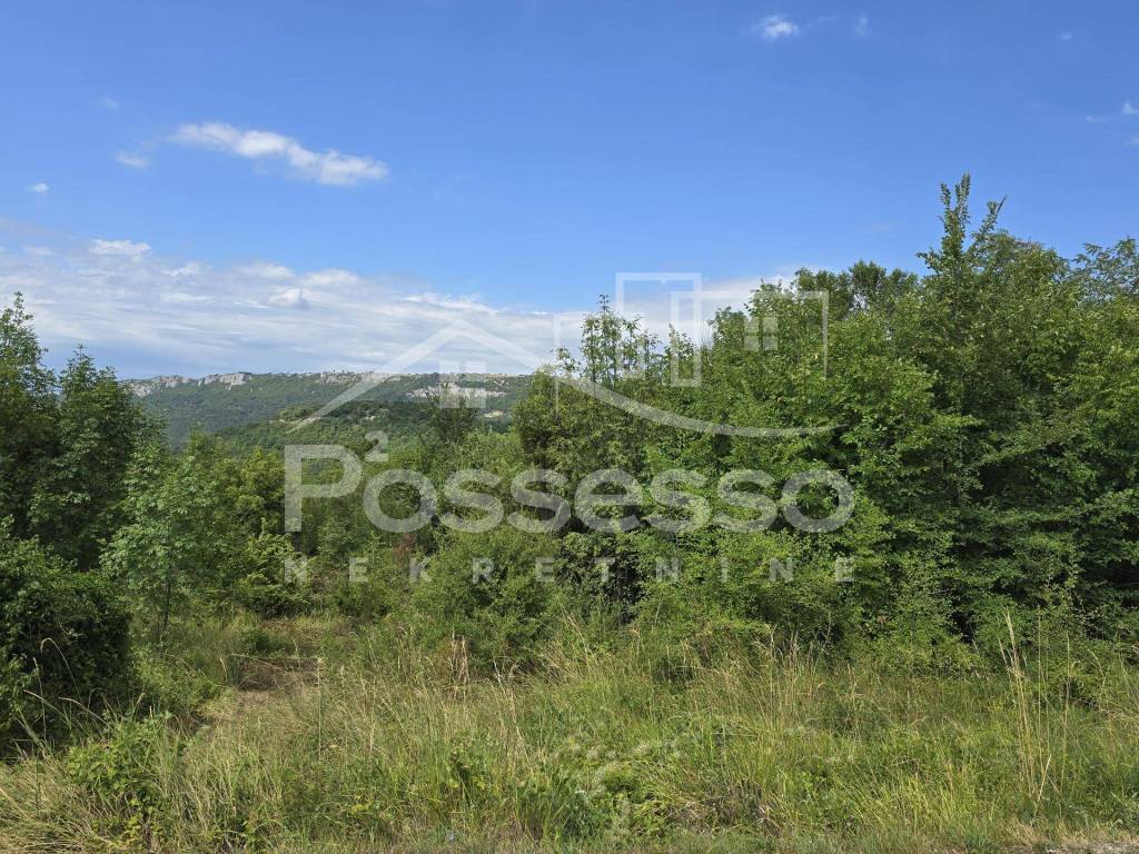 Buzet, Buzet