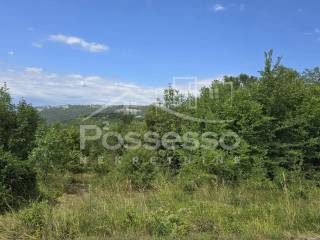 Buzet, Buzet