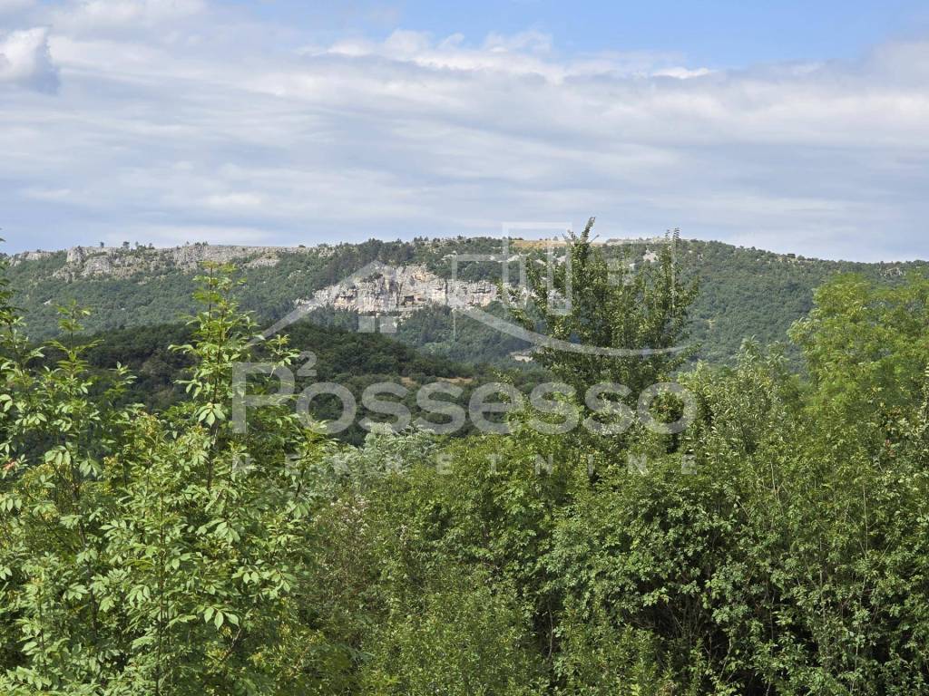Buzet, Buzet