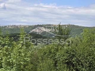 Buzet, Buzet