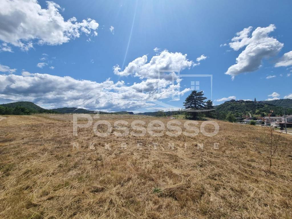 Buzet, Buzet
