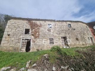 Buzet, Hum