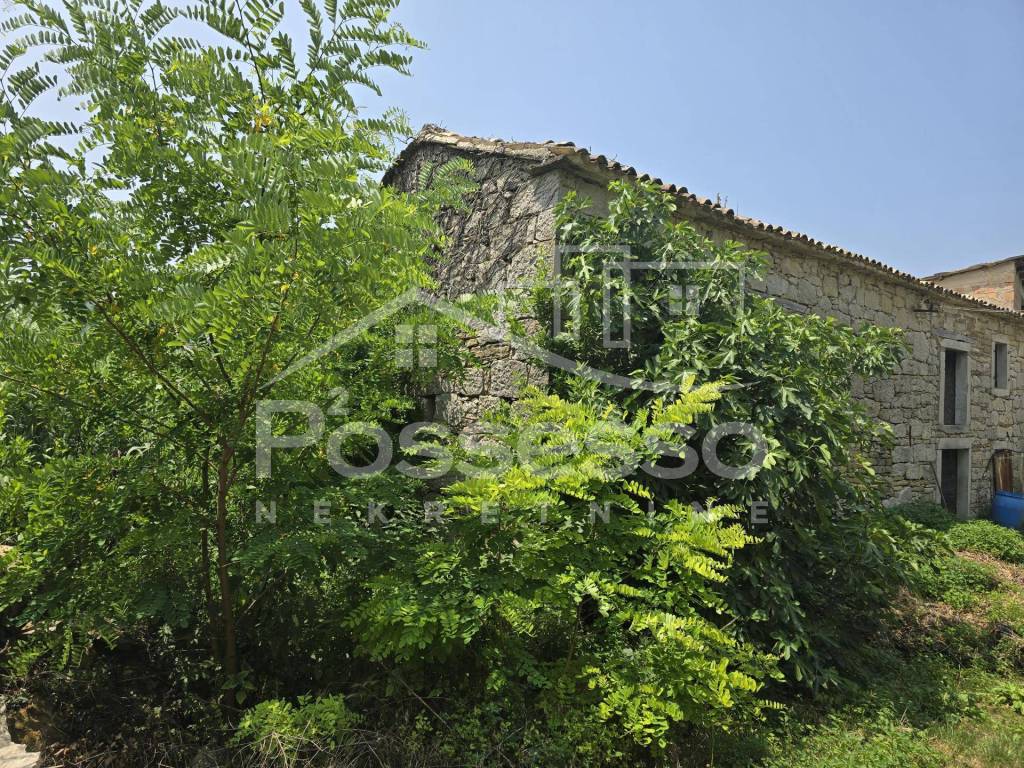 Buzet, Buzet