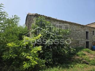 Buzet, Buzet