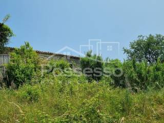 Buzet, Buzet