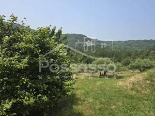 Buzet, Buzet